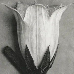 Bild Geschäftsleitung