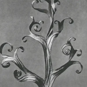 Bild für die Dienstleistung